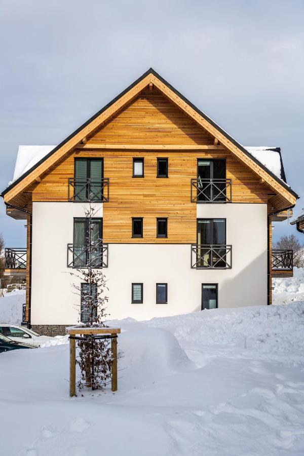 Ski Chalet Klinovec Loucna pod Klinovcem Exterior photo
