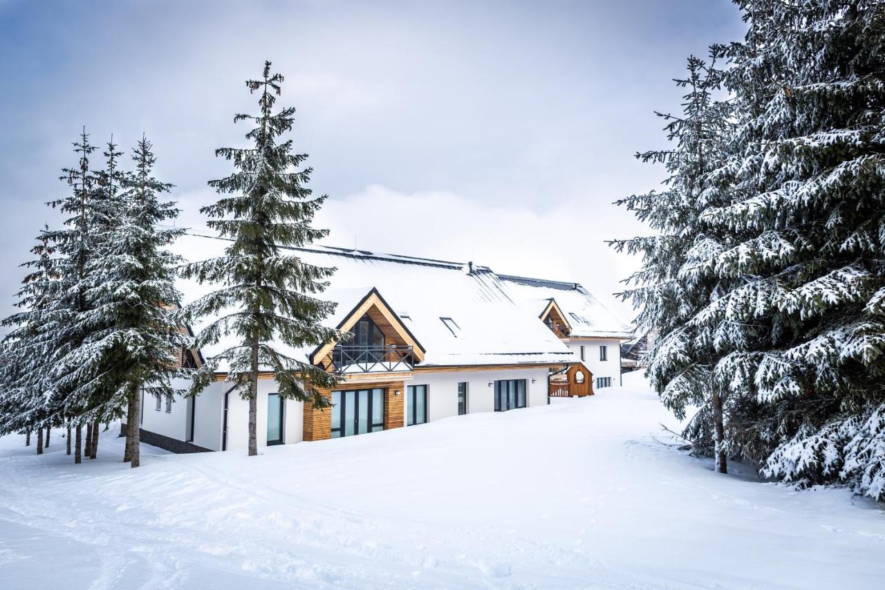Ski Chalet Klinovec Loucna pod Klinovcem Exterior photo